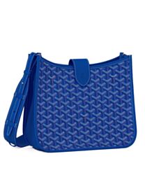 Goyard Musette bag