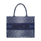 Christian Dior Medium Dior Book Tote Blue